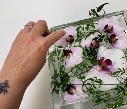 here… from … my little corner… of the world wide web