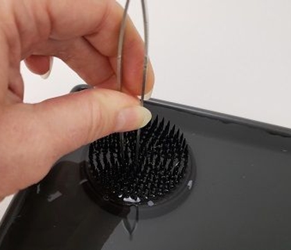 Mother Nature’s little magic to let us know Autumn is near