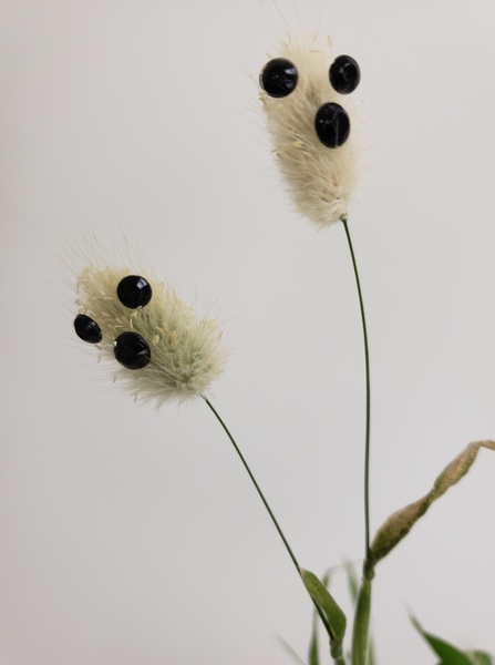 Bunny tail grass ghosts for floral styling