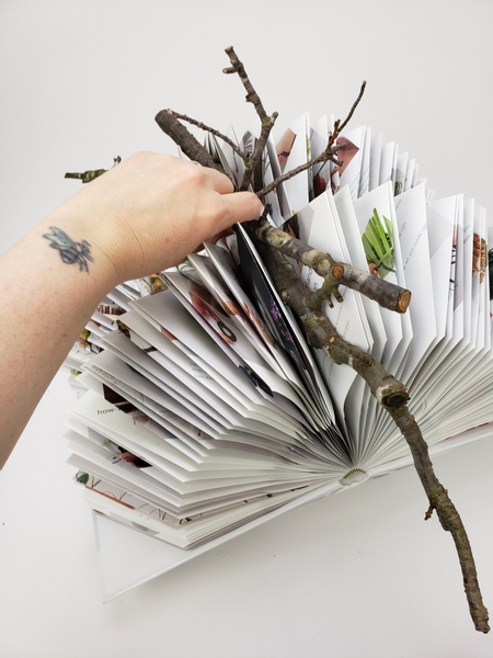 Place a few larger branches over the fanned book