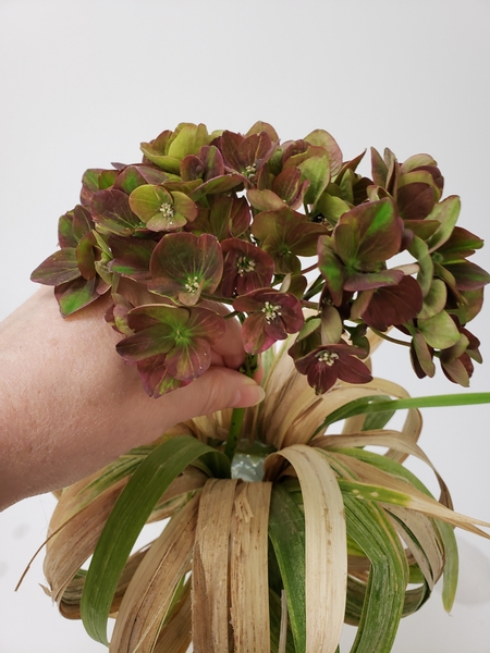 Place a hydrangea stem into the vase