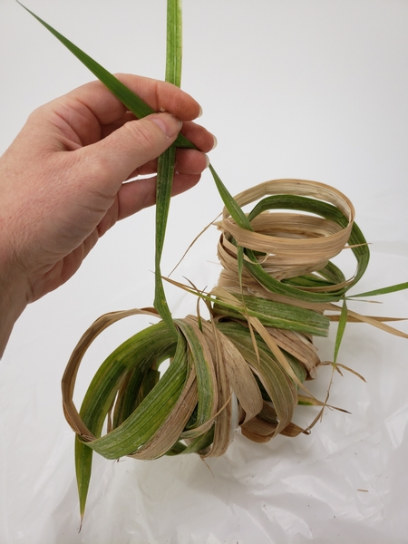 Thread a gladiolus leaf through the circles