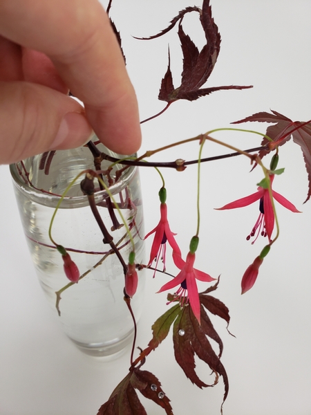 Arrange the drop of the fuchsia flowers so that they drape prettily over the twigs and leaves