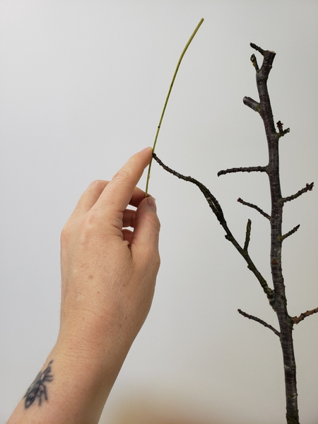 Create a grid for the branch by gluing in some stained rattan