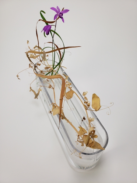 Dried sweet pea vine in an autumn floral design that is sustainable and waste free