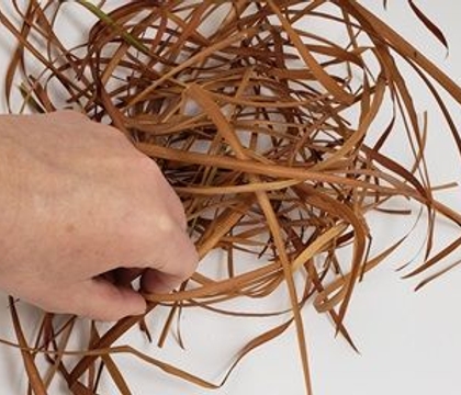 Go on Autumn… glow!