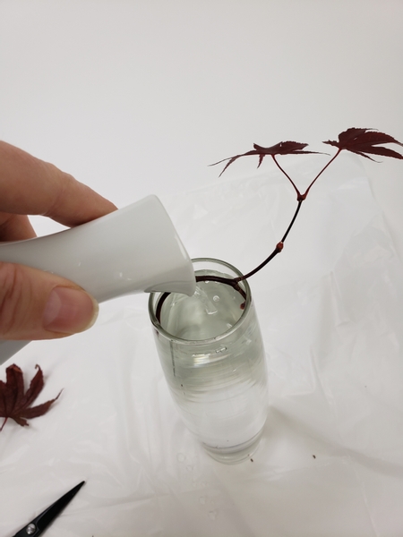 Fill the vase with water to keep the Japanese Maple leaves hydrated while you design