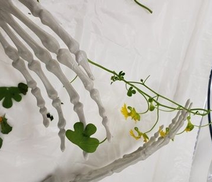 That day after Halloween feeling