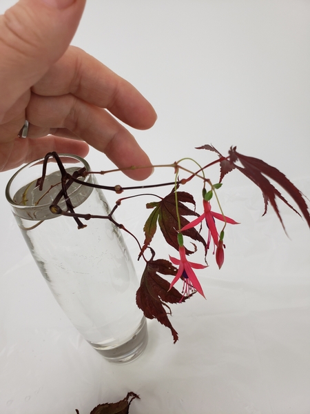 Hook the fuchsia flowers to drape neatly over the maple leaf stem to the side