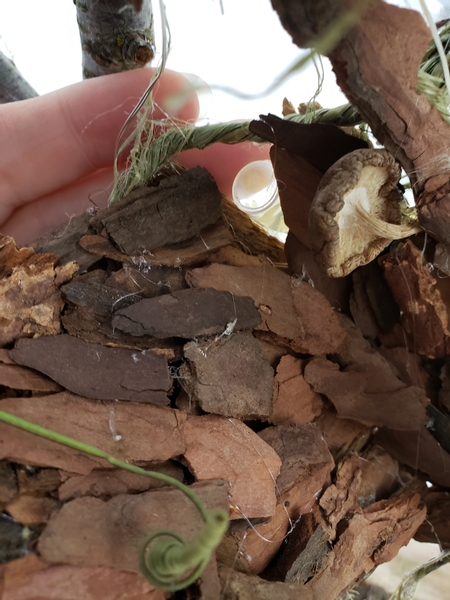 I wanted my flowers to grow inside the log so I am gluing small water tubes at the back of the design