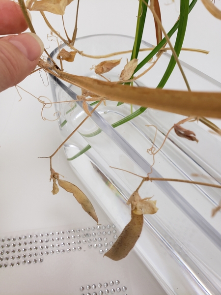 Make sure the dried grasses are above the waterline on both ends Make sure the dried grasses are above the waterline on both ends