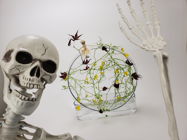 Mort the skeleton says... happy flowering