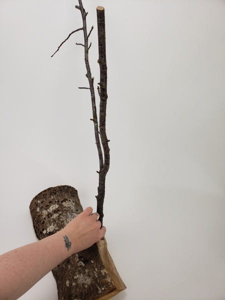 My base of the design is a cut branch... with a side twig still attached