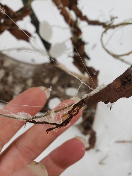 The first step is to soften up any spaces between the wood chips and the frame with some wood fibers