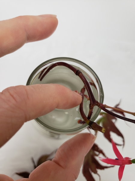 The fuchsia stems should be firmly in place between the anchored twigs to make sure it won't drop out of the water even when picked up