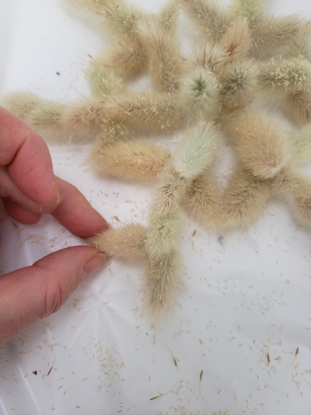 Glue in two more seed blooms to the tip of the snowflake to make the branches sprout out