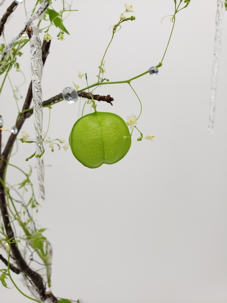 Love in a puff seedpod in a floral design