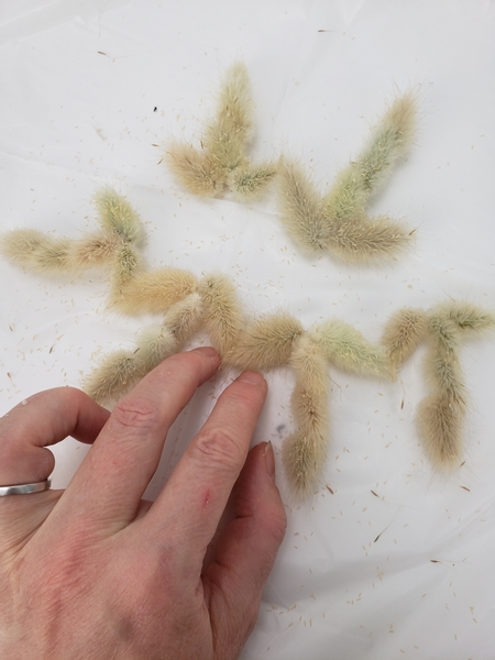 Pair up the pairs by connecting the tips of the next seed bloom