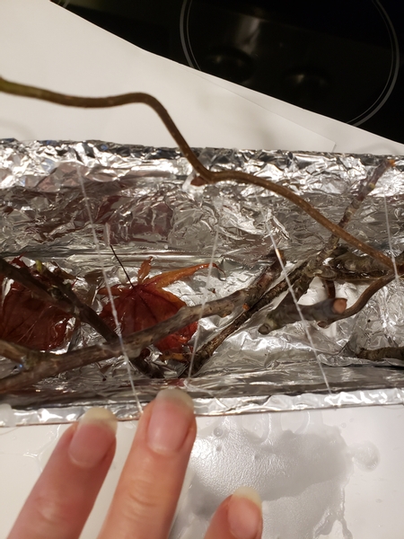 Pour the melted wax into the container and drop a few autumn leaves into the bottom