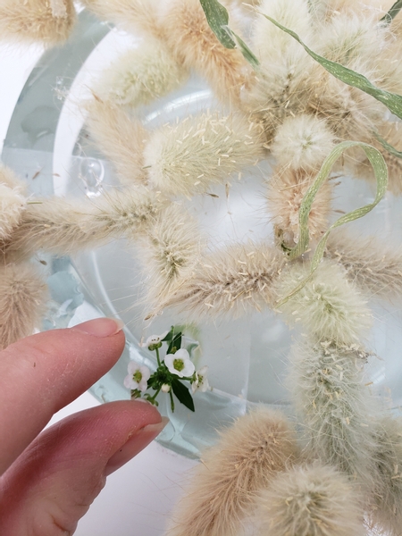 Remove the foliage from the stem of your alyssum flowers and set it in the water to continue to hydrate