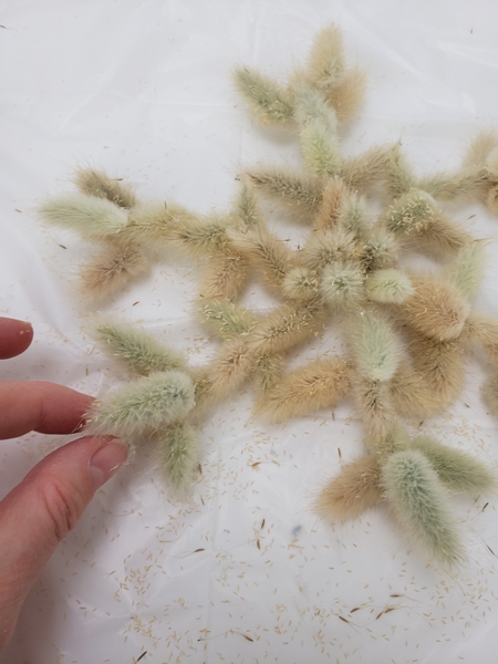 You can even add a double layer of fluffy bunny tail seed blooms