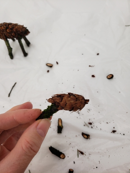 Glue a twig into the small seed cone