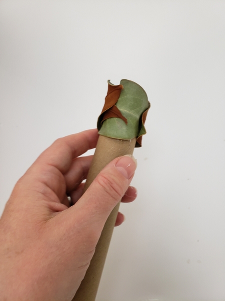 Glue the inner most curled leaves on top of a paper tube