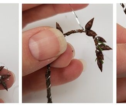 A Very Merry Dark and Moody and bring it in from the Woods Trendy Christmas Cheer