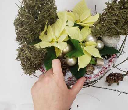 Quick and Easy way to dress up poinsettia plants for Christmas