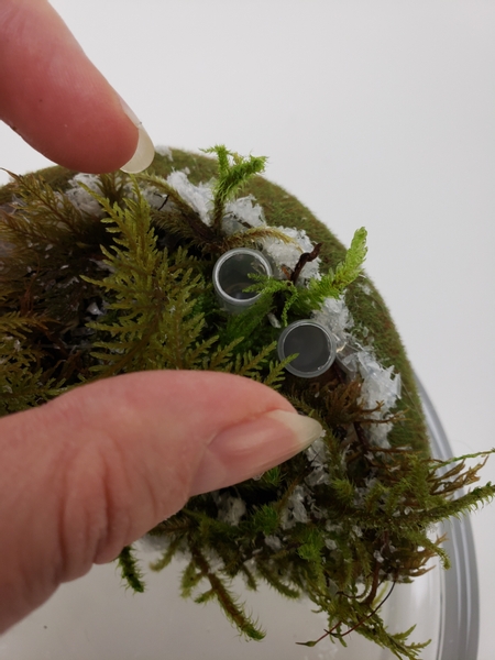 Add in two tiny water tubes into the moss.