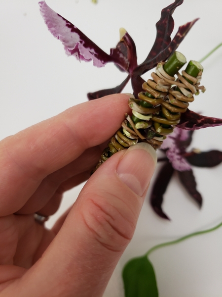 Carefully insert the orchid stem to just above the willow weave
