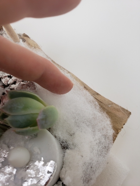 Create a snow bed for the succulents