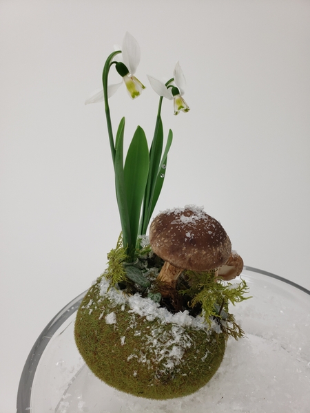 Floral design with snowdrops moss and mushrooms