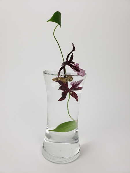 How to arrange short stemmed orchids in a floral design