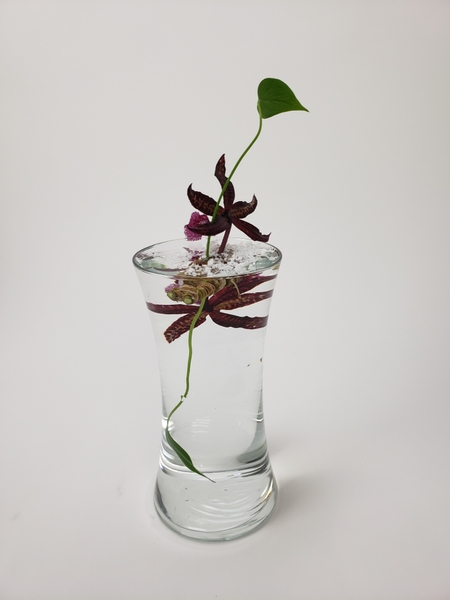 How to suspend a flower stem upside down in water