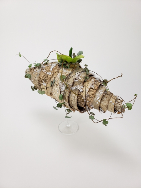 How to use birch bark in flower arrangements