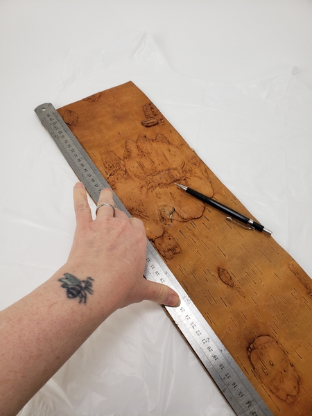 Measure out the birch bark