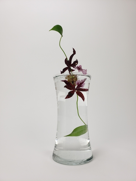 Miltoniopsis orchid in a flower arrangement