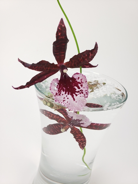 Oncidium orchid in a floral design