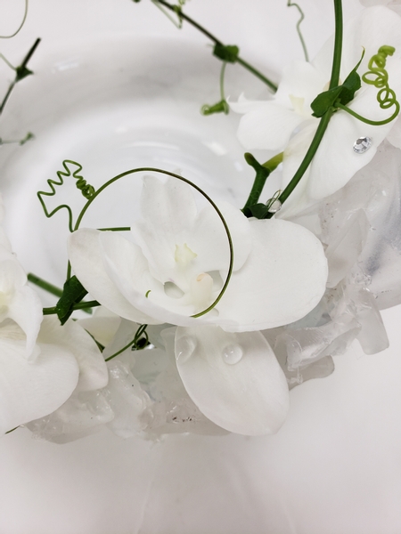 Pure white Phalaenopsis orchid flower arrangement unusual idea