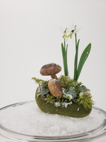 Snow drop flowers in a moss base mechanics