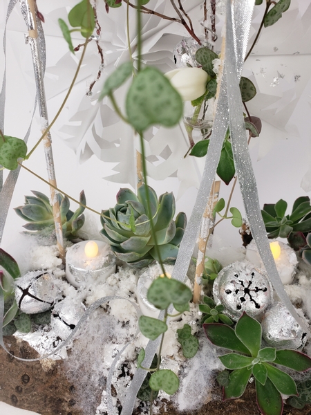 Succulents and snow floral design for winter