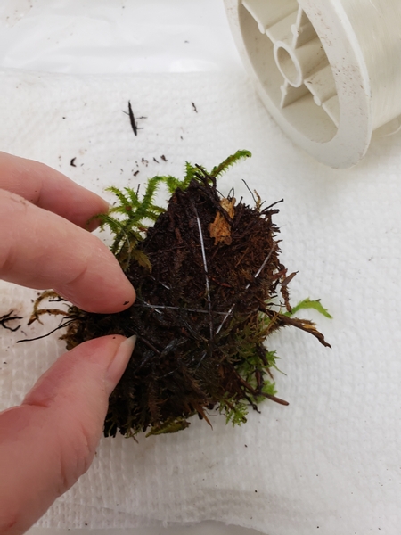 Use fishing line to tie the moss to the tree fern shape