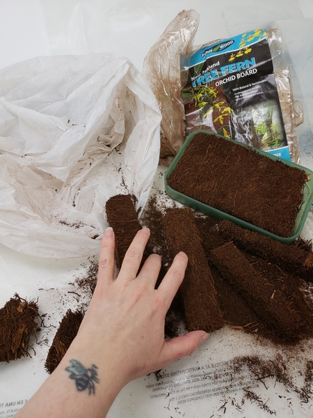 Using tree fern to grow the moss on