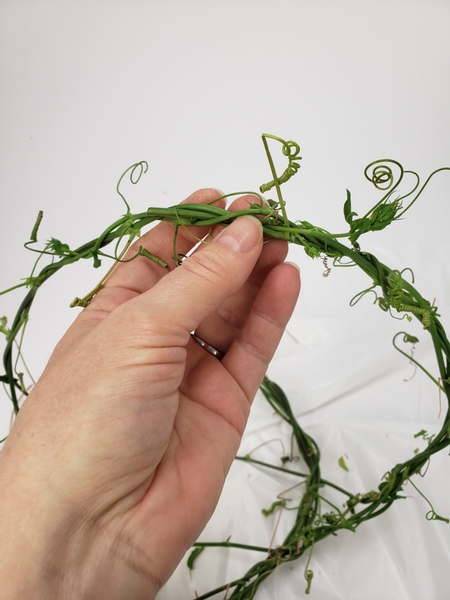 Bring the dangling vines over and weave them over the top to craft the handle