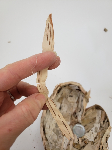 Carefully break the birch bark sideways to give it an angle