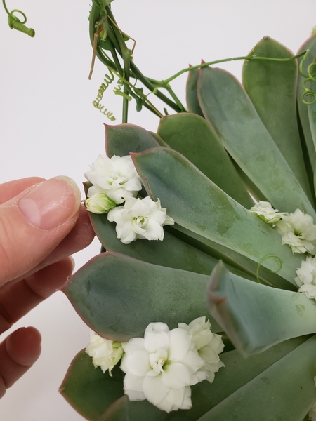 Complete the design by gluing in some kalanchoe flowers and tendrils