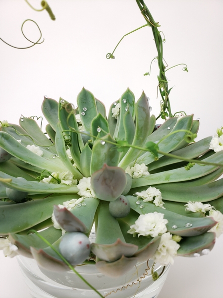 Fresh Spring design with vines and succulents