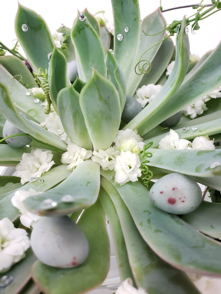 Fresh succulents as a centrepiece design for Easter