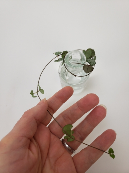 Gently wrap the vine around the bud vase